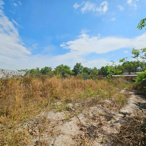 Đất tại xã Trung Lập Thượng, Huyện Củ Chi TP. Hồ Chí Minh - TĐS 604