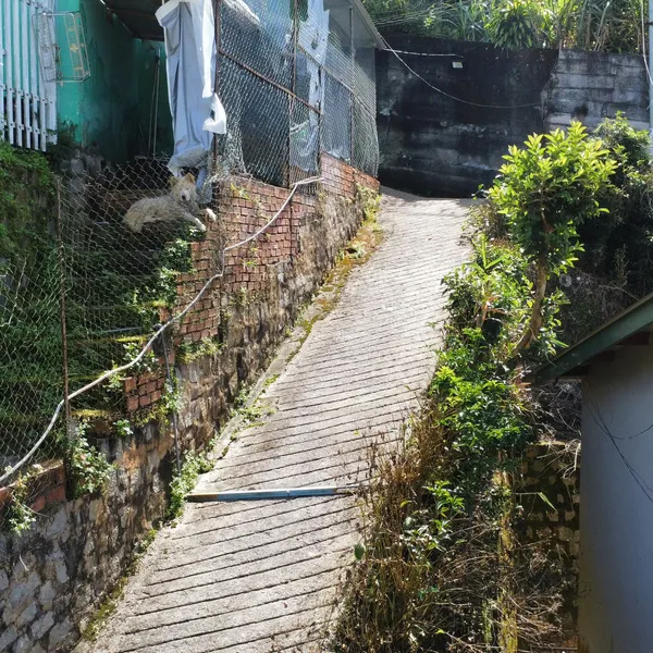 Bán nhà mặt tiền 132 Hoàng Hoa Thám Phường 10 Đà Lạt Lâm Đồng giá cực chất 3.88 tỷ 287m2