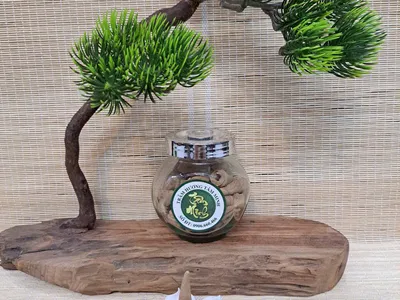 CÔNG DỤNG NHANG TRẦM NỤ