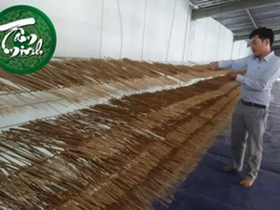 CÁCH NHẬN BIẾT NHANG SẠCH 100% THIÊN NHIÊN