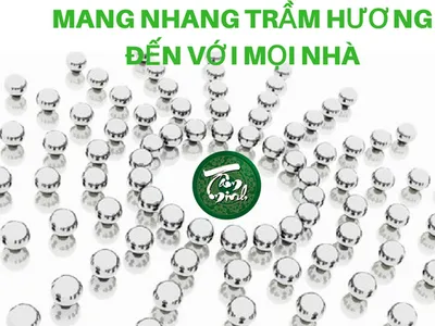 DỰ ÁN MANG NHANG TRẦM HƯƠNG ĐẾN VỚI MỌI NHÀ