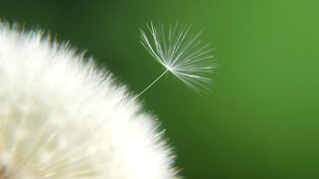 3-1280x720-640x360.jpg (18 KB)