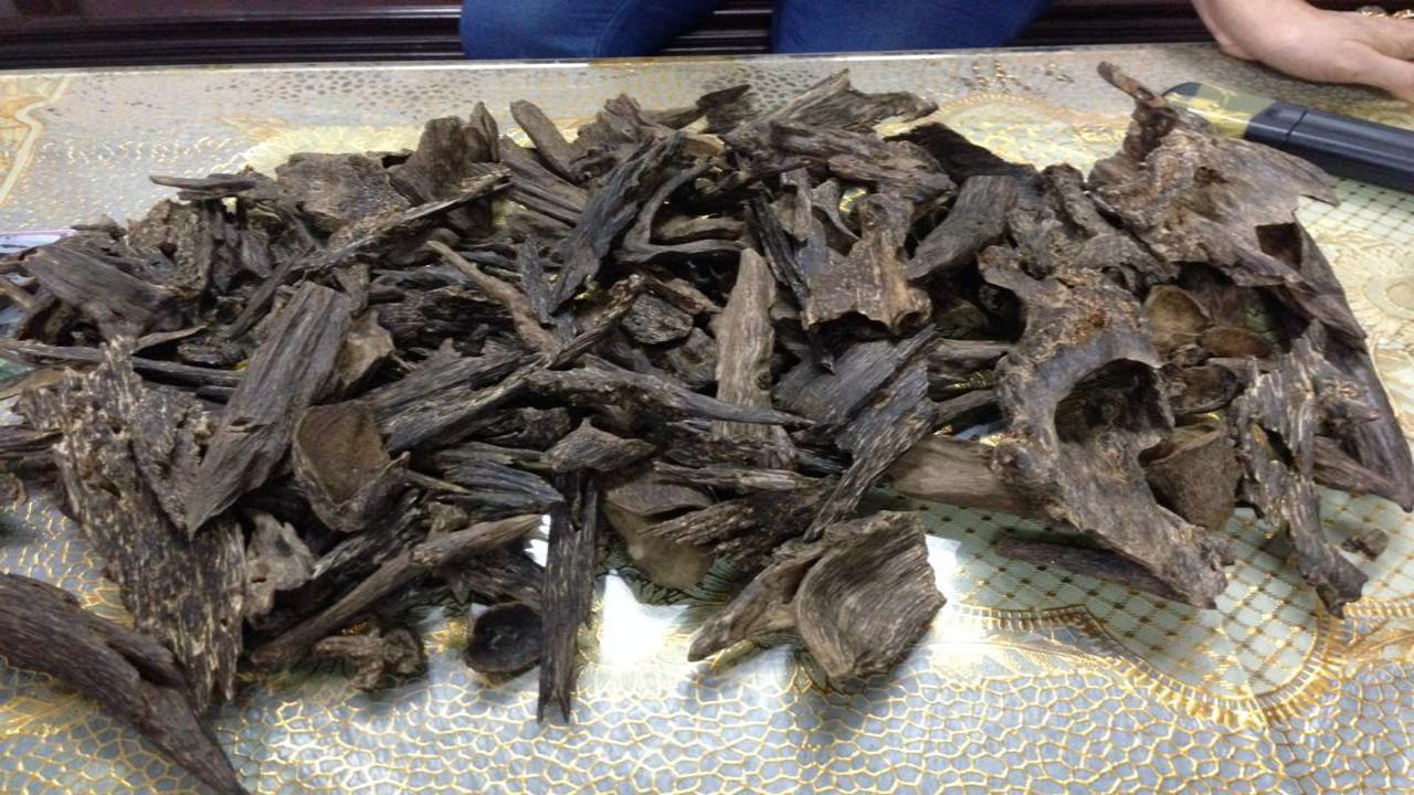 95007833851o.jpg (187 KB)