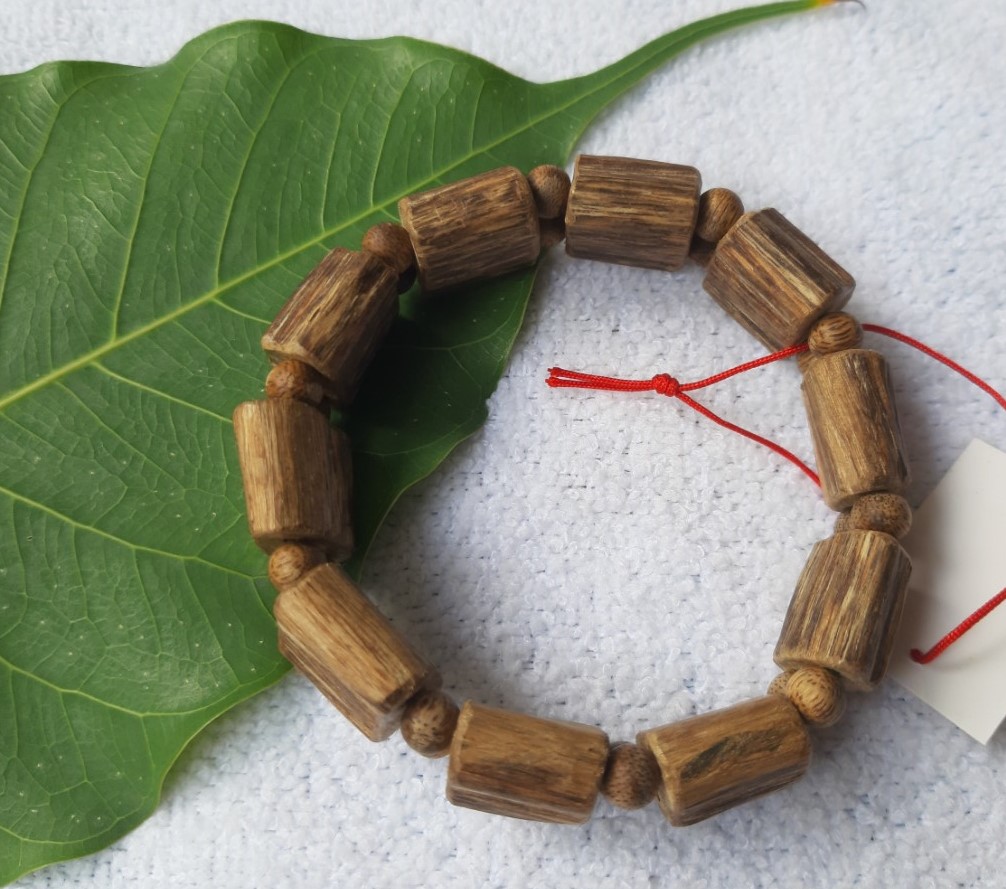 vong-tho-tram-toc-kien-day-doi TRAM-TOC-KIEN-DAY-DOI.jpg (209 KB)