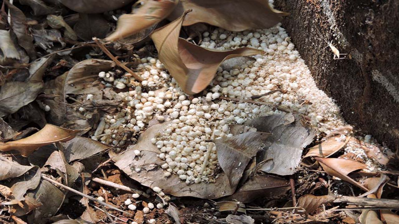 Untitled-21.jpg (200 KB)