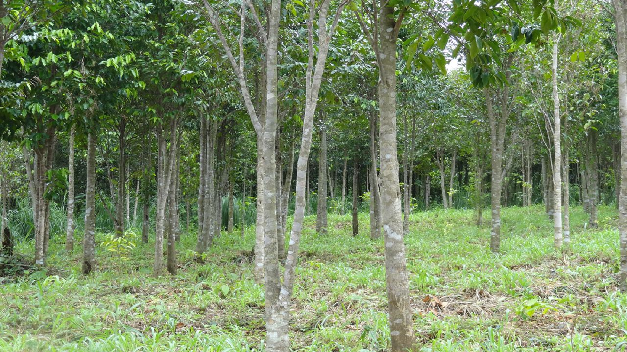 Video-09.jpg (307 KB)