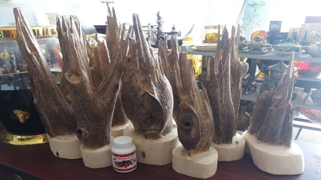 ydf1505998069.jpg (130 KB)