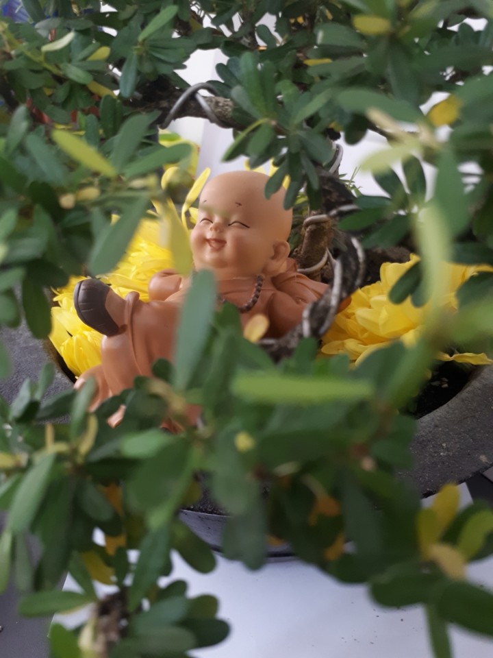 z1462013505401_abdc106db004a64b51ded10b36a3718d.jpg (115 KB)