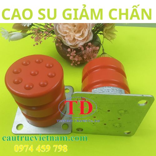 cao-su-giam-chan-thang-may cao-su-giam-chan-thang-may
