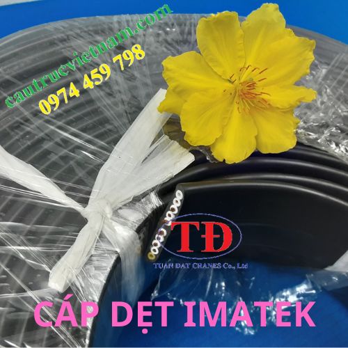 cap-det-imatek cap-det-imatek
