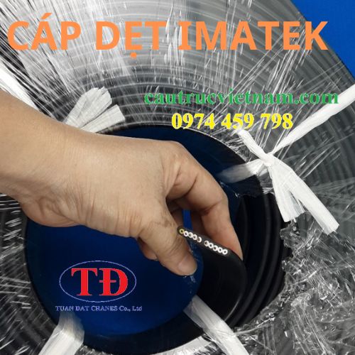 cap-det-imatek cap-det-imatek