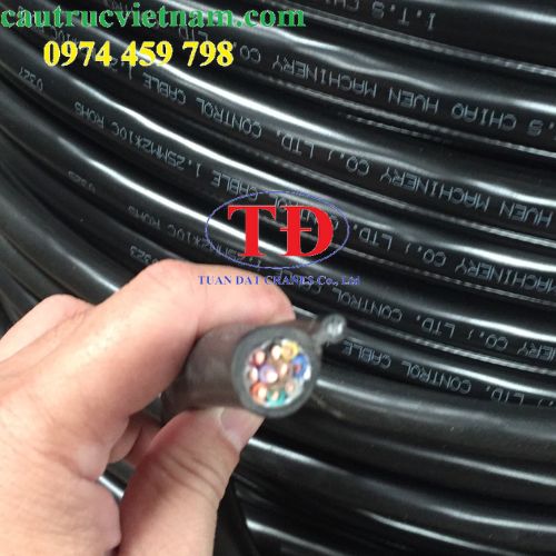 cap-dieu-khien-loi-thep-10cx1.25mm cap-dieu-khien-loi-thep-10cx1.25mm