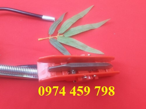 choi-tiep-dien-cau-truc-1p-eunchang choi-tiep-dien-cau-truc-1p-eunchang