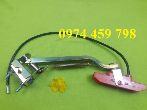 choi-lay-dien-cau-truc-ms-cla-005-60 choi-lay-dien-cau-truc-ms-cla-005-60