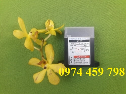 diot-sr-60-bokuk diot-sr-60-bokuk