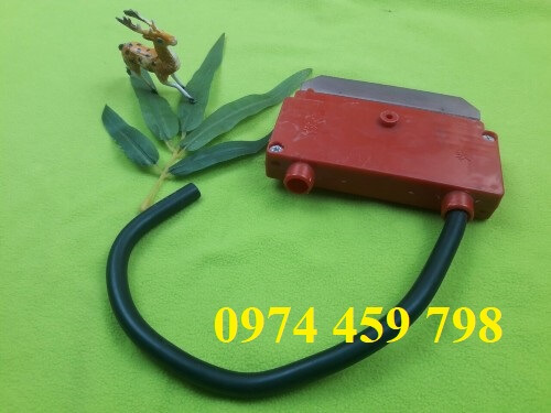 la-than-choi-tiep-dien-cau-truc la-than-choi-tiep-dien-cau-truc