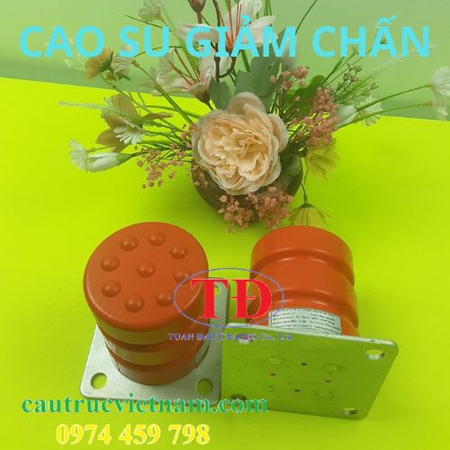Cao su giảm chấn thang máy
