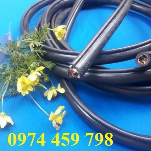 Cáp điều khiển có lõi thép cho tay bấm cầu trục