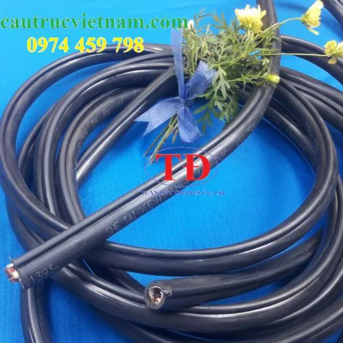 Cáp điều khiển 8Cx1.5 gắn tay bấm cầu trục