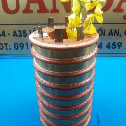 Cổ góp điện chổi than