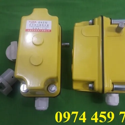 Công tắc hành trình đa năng DXZ 1:60