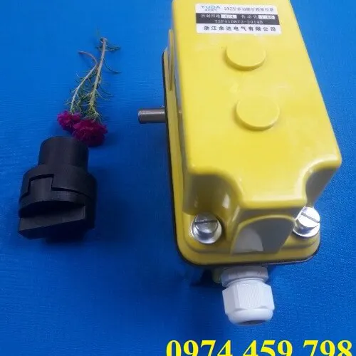 Công tắc hành trình đa năng DXZ 1:60