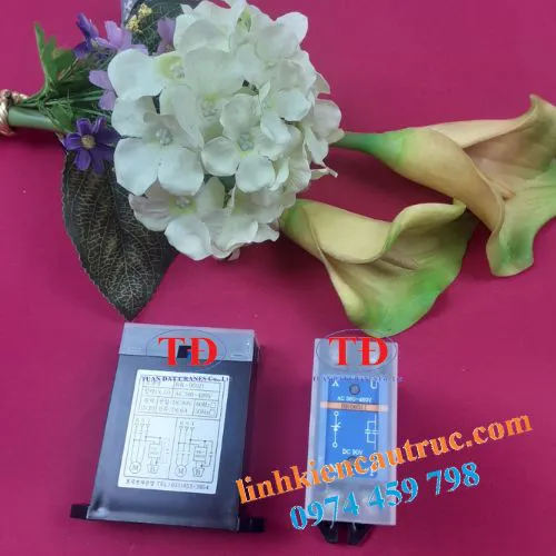 Di ốt phanh nâng hạ BK-060J1