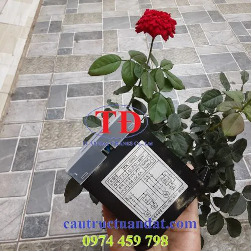 Di ốt phanh nâng hạ BK-060J1