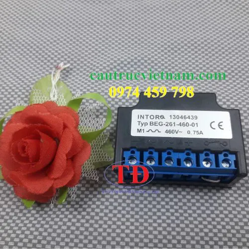 Đi ốt BEG-261-460-01