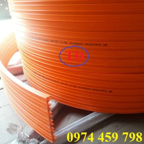 Ray điện an toàn cầu trục 6P-50A