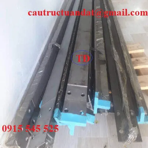 Ray dẫn hướng thang máy