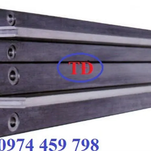 Ray dẫn hướng thang máy