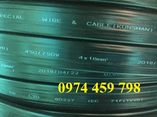 cap-det-cau-truc-tren-ray-c cap-det-cau-truc-tren-ray-c