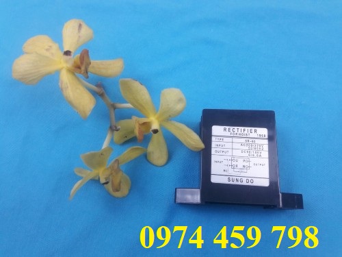 diot-chinh-luu-sr-60-sungdo diot-chinh-luu-sr-60-sungdo