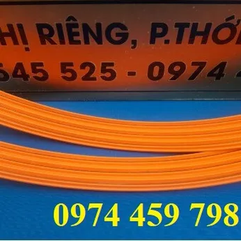 Ray điện an toàn cầu trục 3P-50A