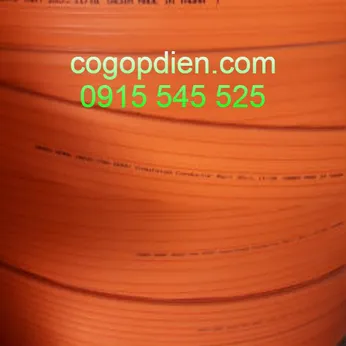 Ray điện cầu trục 6P 75A