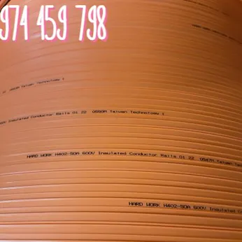 Ray điện cầu trục 4P-50A Hard Work