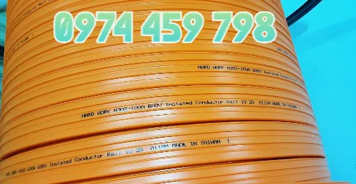 Ray điện cầu trục 3P-100A là gì?