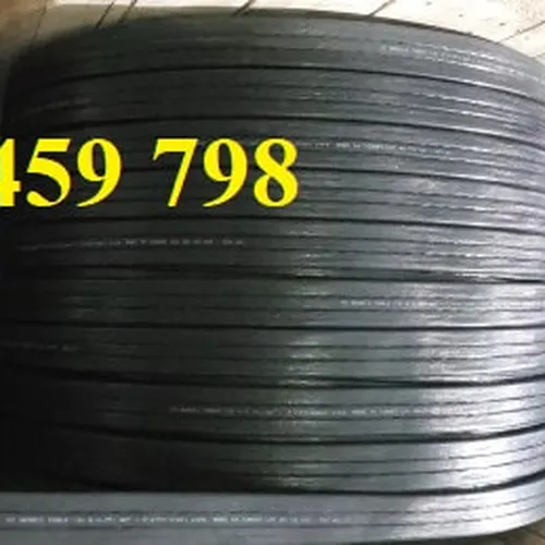 Cáp dẹt cầu trục trên ray C