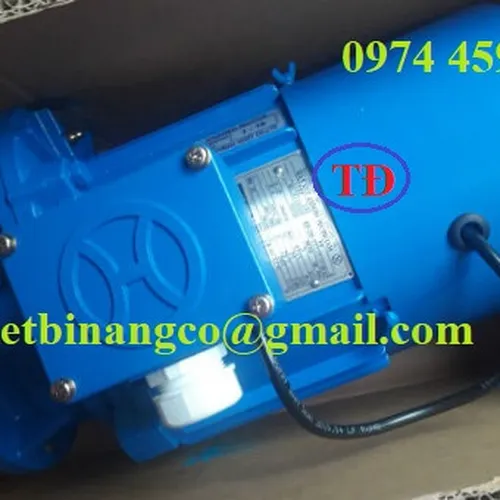 Motor giảm tốc cầu trục