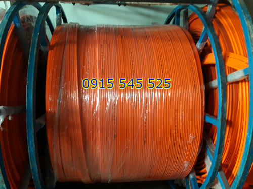 ray-dien-cau-truc-3p100a ray-dien-cau-truc-3p100a