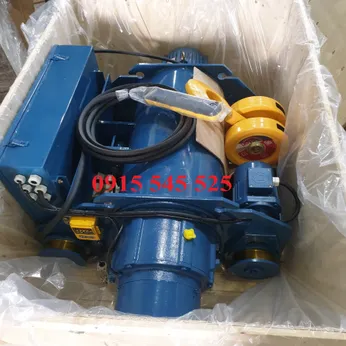 Palang Dong Yang dầm đôi 5 tấn