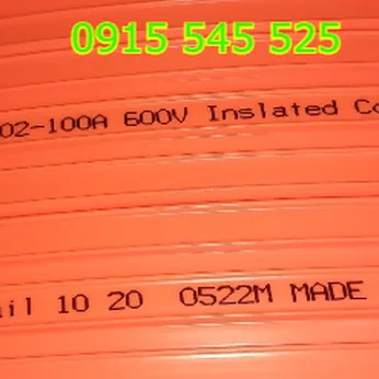 Ray điện cầu trục 3P100A