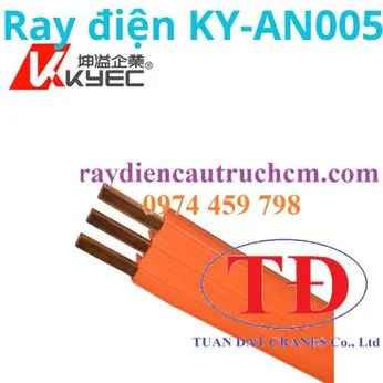 Ray điện an toàn cầu trục 3P-50A Kyec