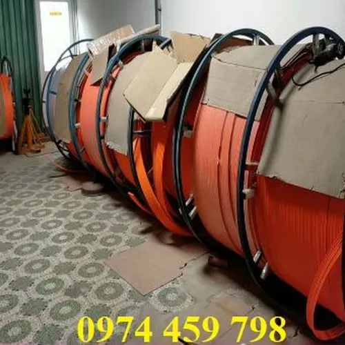 Ray dẫn điện đến cầu trục 3P-50A