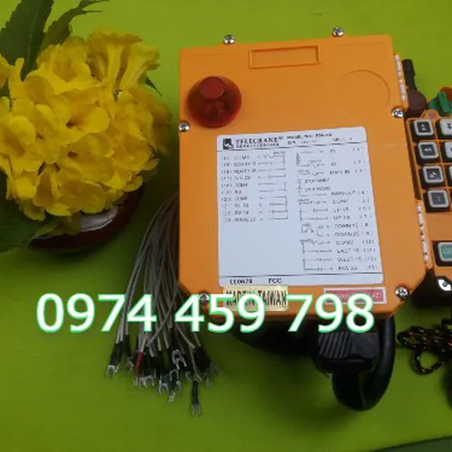 Điều khiển cầu trục từ xa Telecrance F24-8D