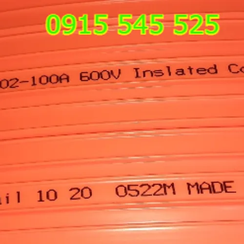 Ray điện cầu trục 3P100A