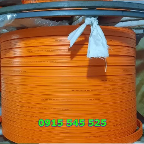 Ray điện cầu trục 3P50A