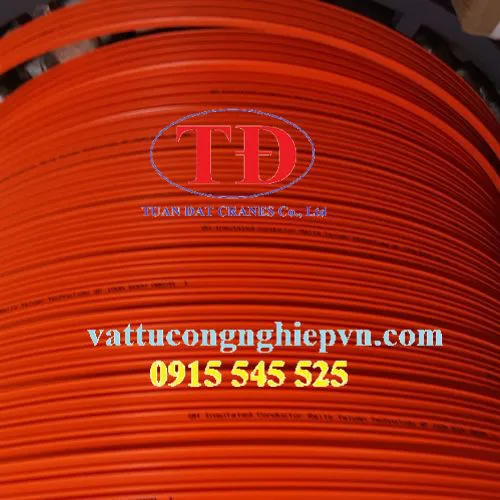 Ray điện an toàn cầu trục 4P-50A