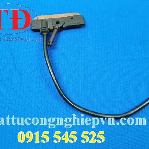 Than chổi tiếp điện 3P-60A